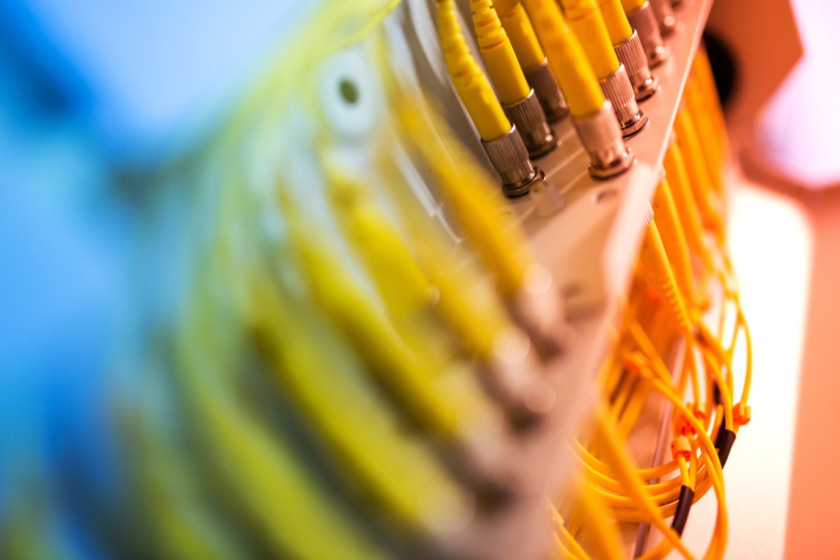 Yellow patch cables connected to electrical equipment